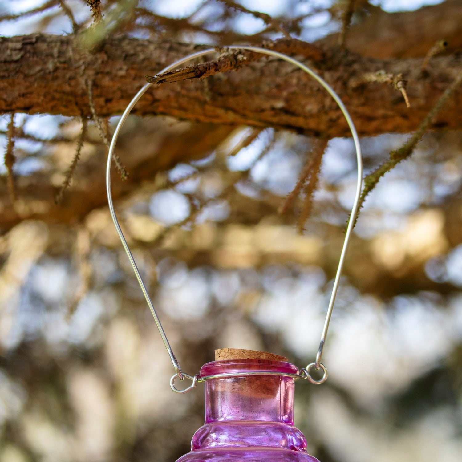 Pink Ribbed Glass Wasp Trap