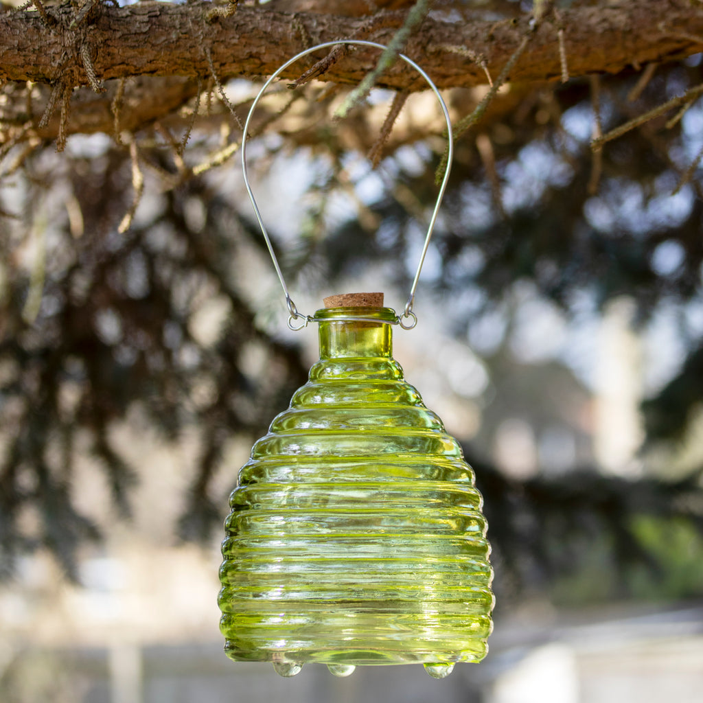 Green Ribbed Glass Wasp Trap