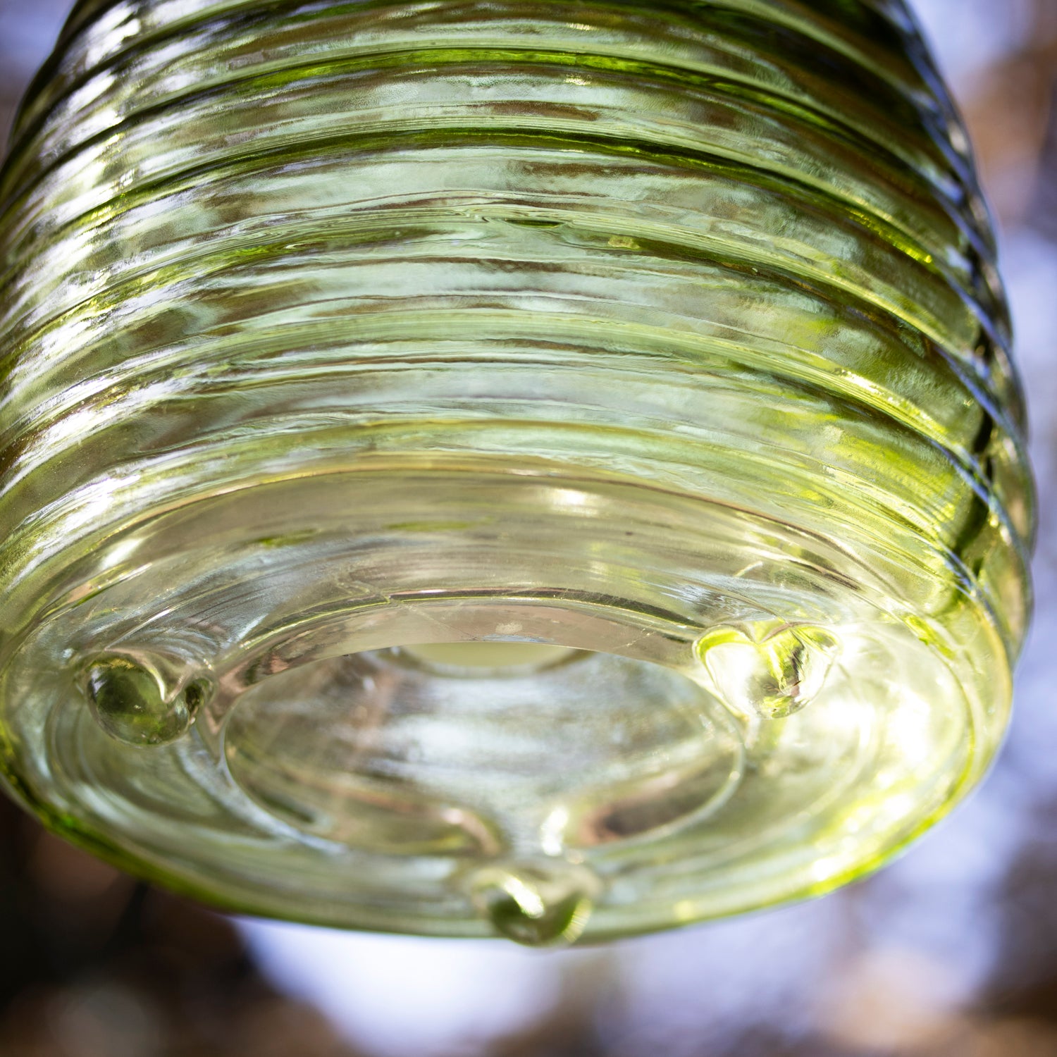 Green Ribbed Glass Wasp Trap