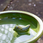Green Round Ceramic Pedestal Bird Bath
