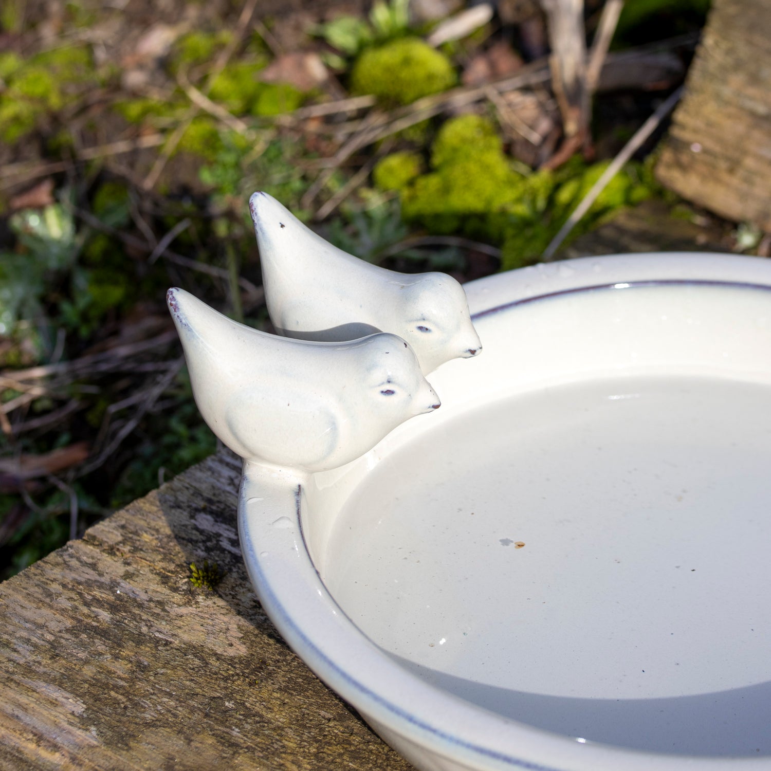 Round White Ceramic Bird Bath