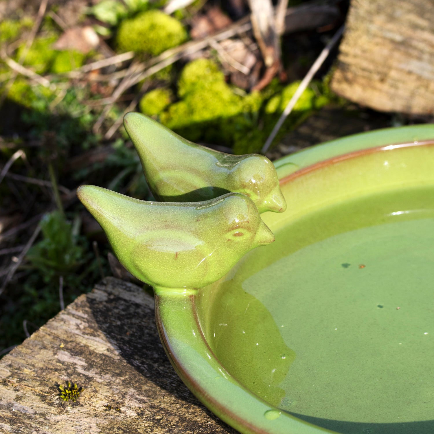 Round Olive Green Ceramic Bird Bath