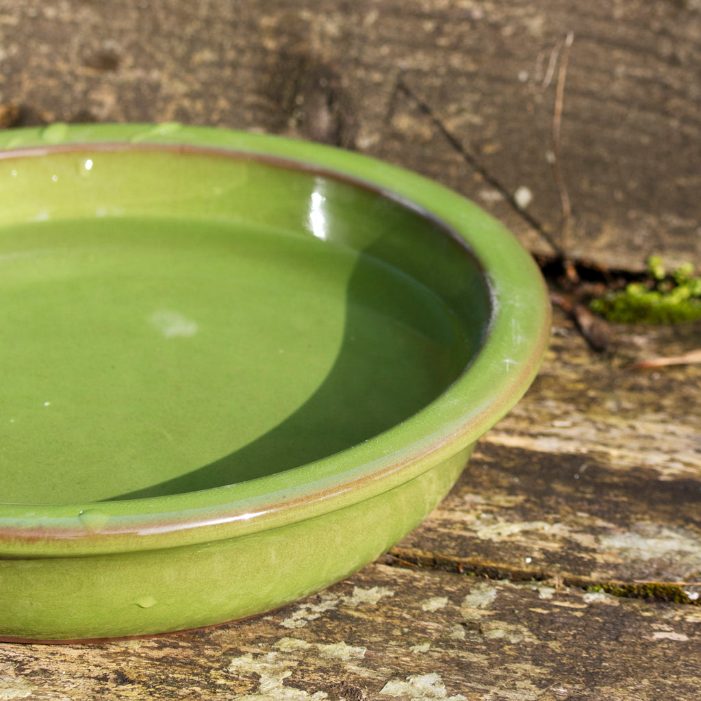 Round Olive Green Ceramic Bird Bath