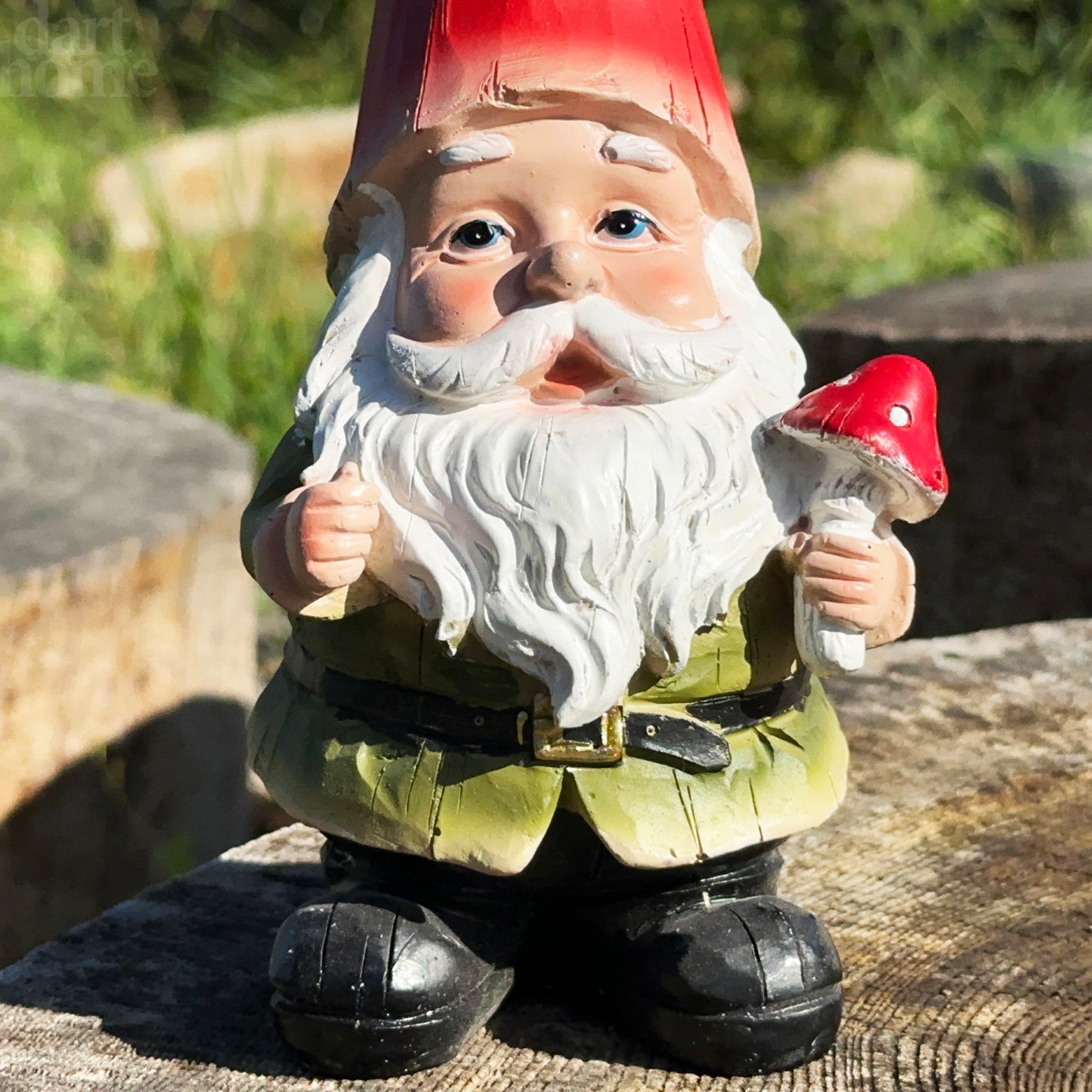 Toasty The Gnome Garden Statue 24cm