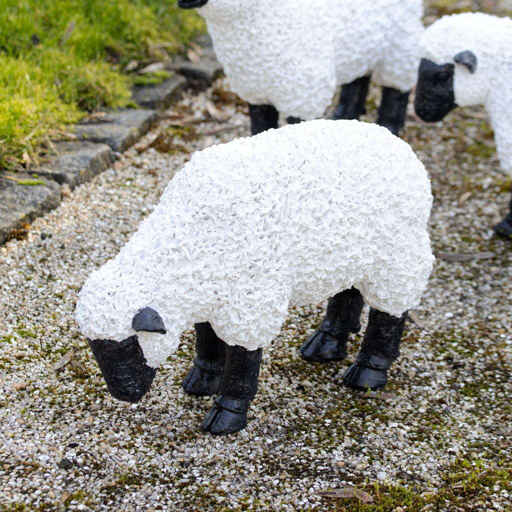 Ornament für grasende Schafe im Garten C