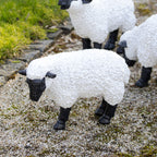 Ornament für grasende Schafe im Garten C