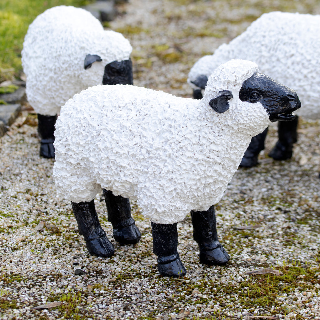 Ornament für grasende Schafe im Garten C