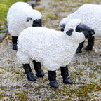 Ornament für grasende Schafe im Garten C