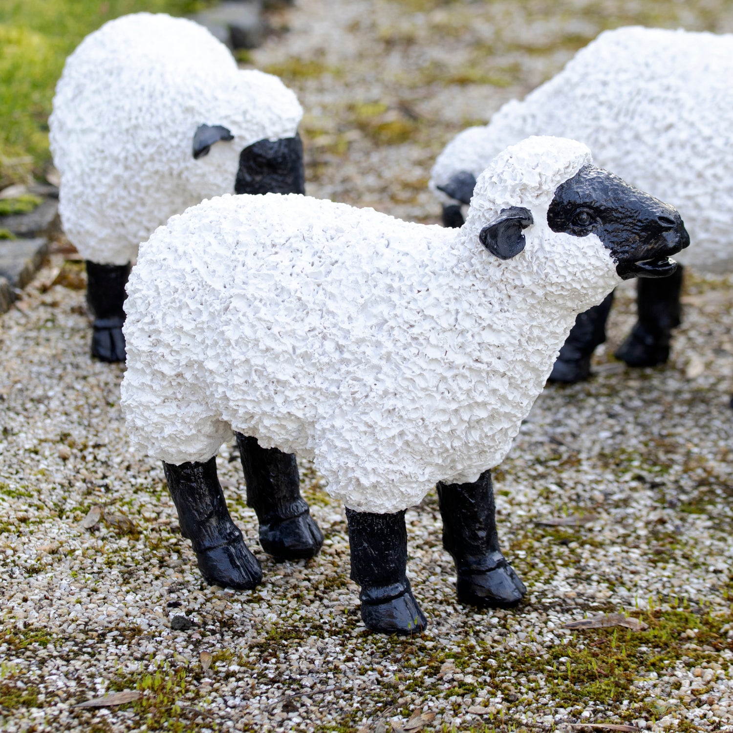 Ornament für grasende Schafe im Garten C