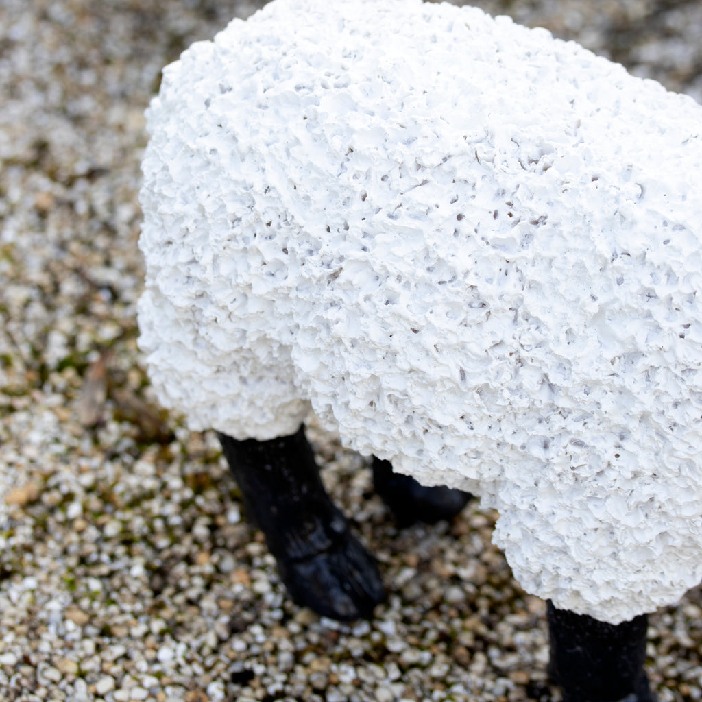 Ornament für grasende Schafe im Garten C