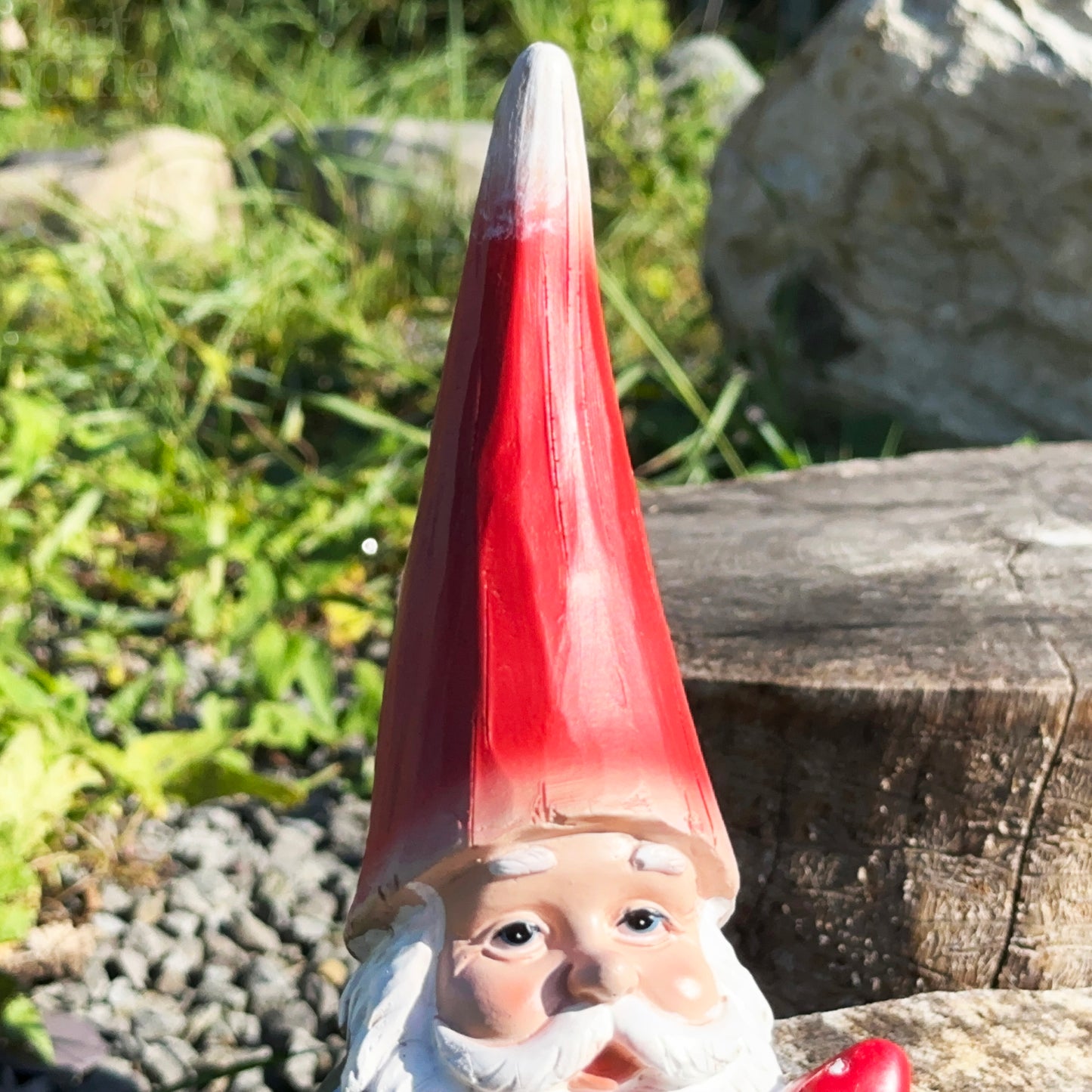 Toasty The Gnome Garden Statue 24cm