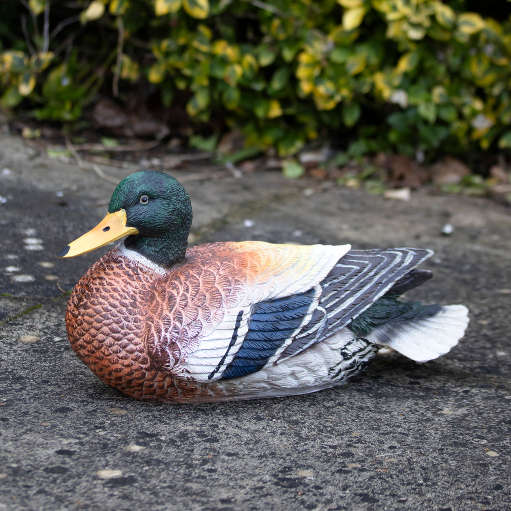 Content Duck Garden Ornament