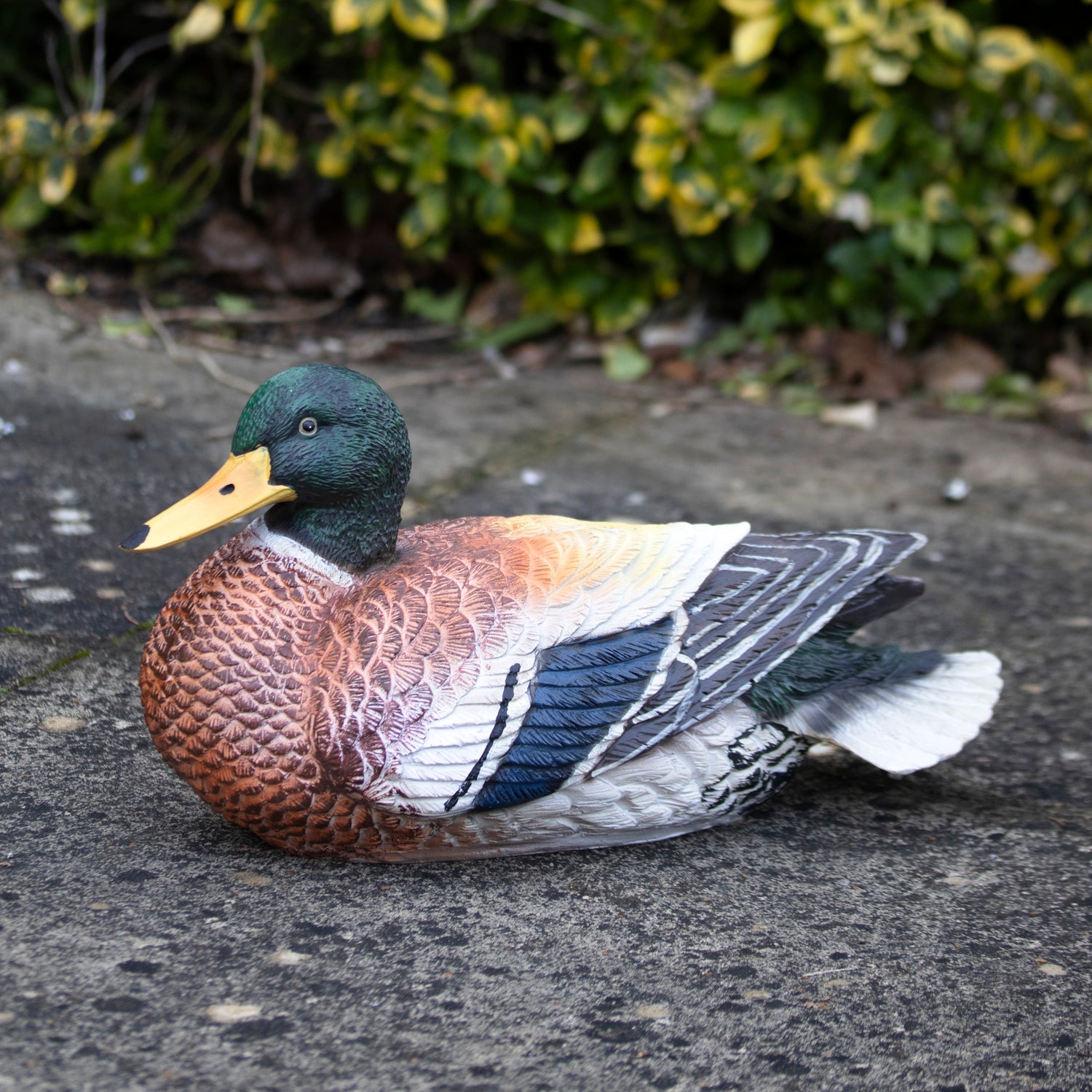 Content Duck Garden Ornament