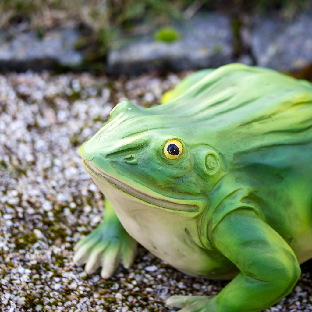 Grazing Frog Ornament