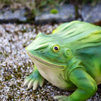 Grazing Frog Ornament