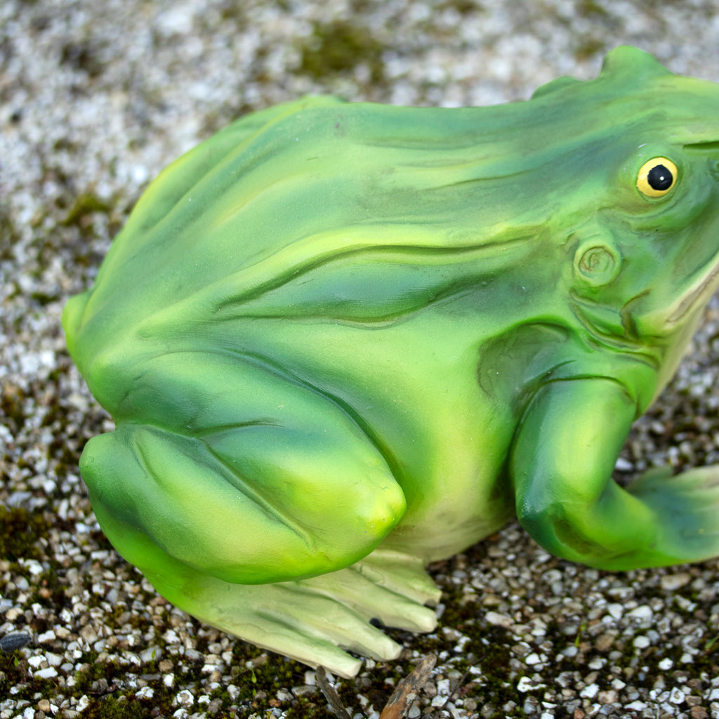 Grazing Frog Ornament
