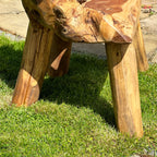 Teak Root Childs Chair