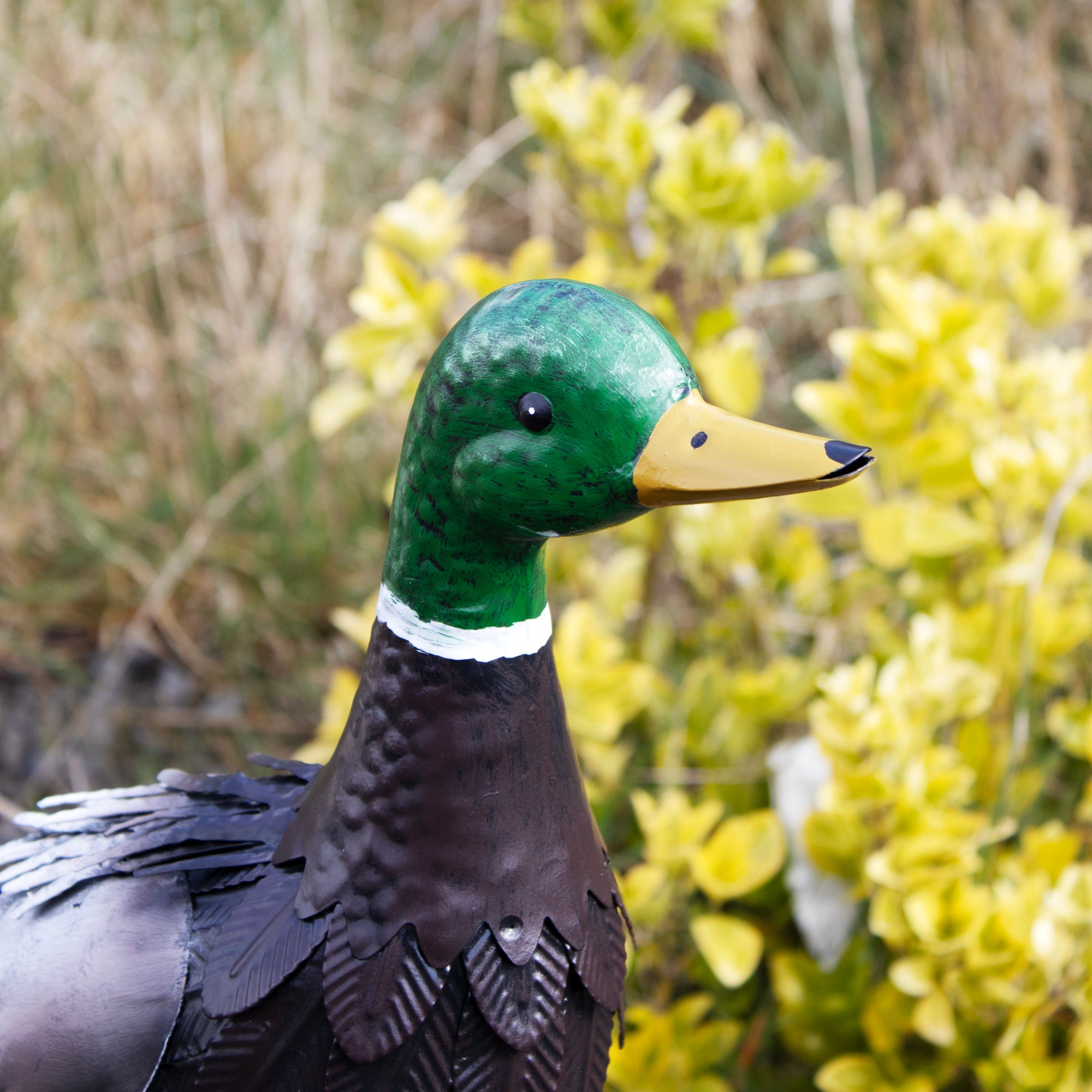 Metal Farmyard Duck Sculpture