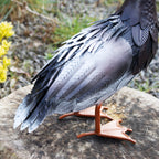 Metal Farmyard Duck Sculpture