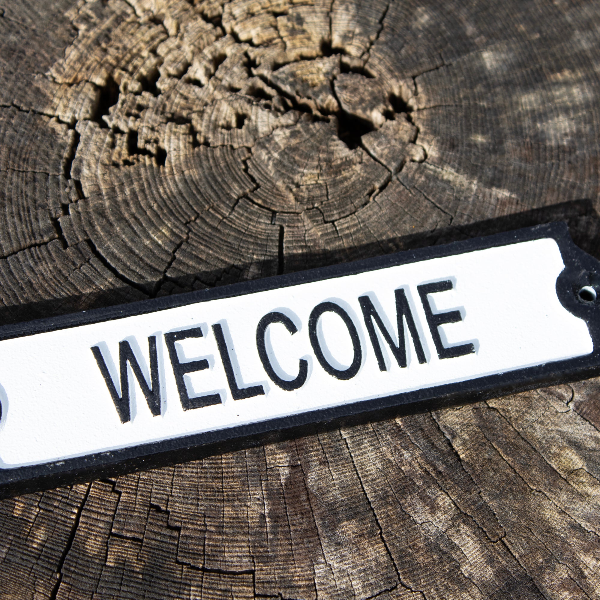 Cast Iron Welcome Garden Wall Sign