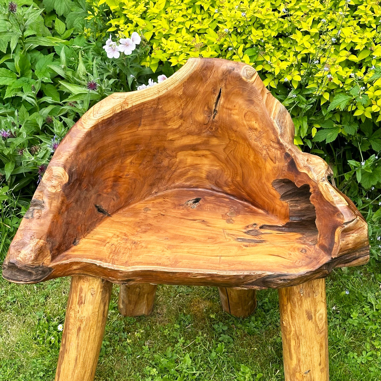 Teak Root 2 Seater Chair