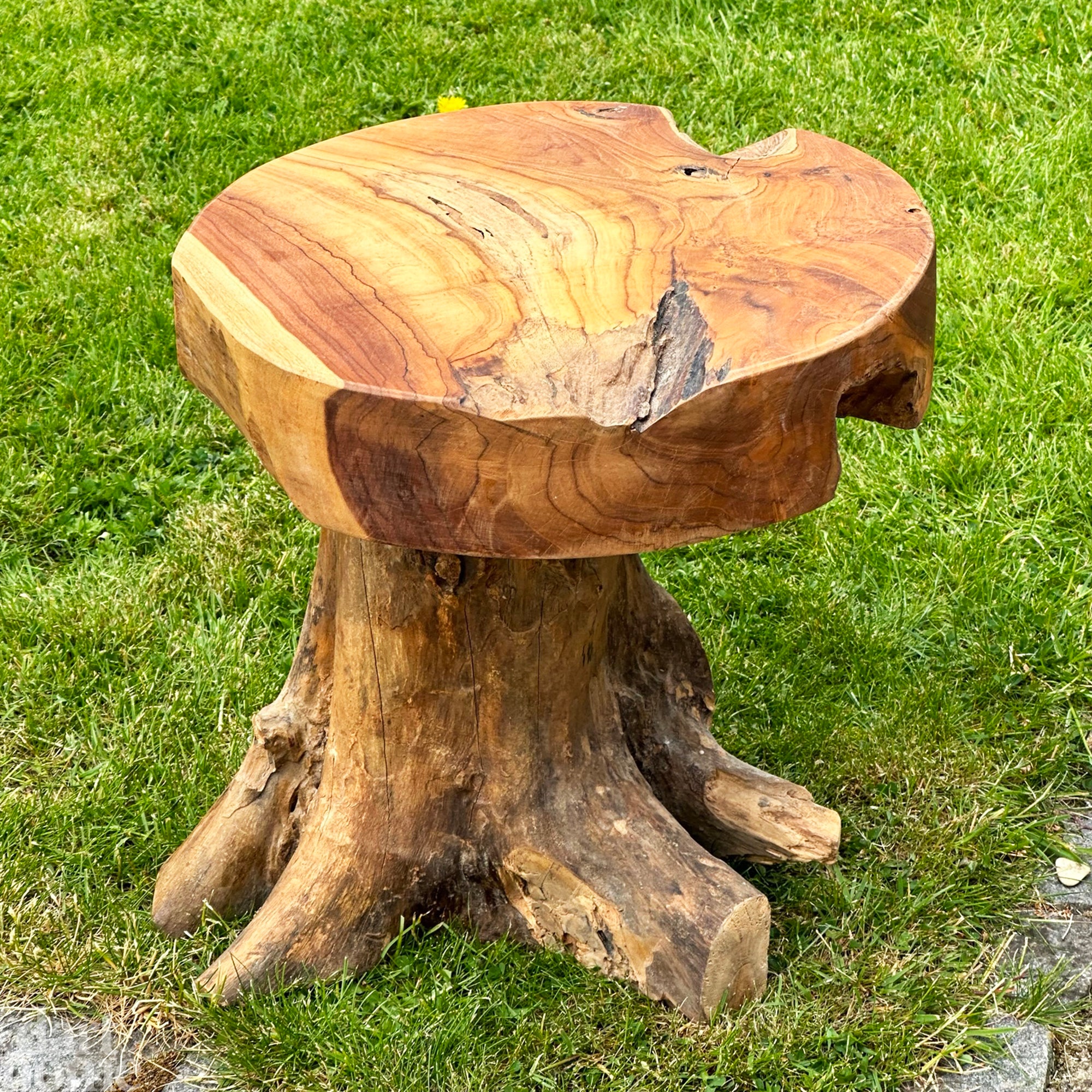 Hocker/Tisch aus Teakwurzelpilz