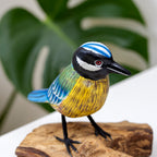 Foraging Blue Tit On Teak Root Stand