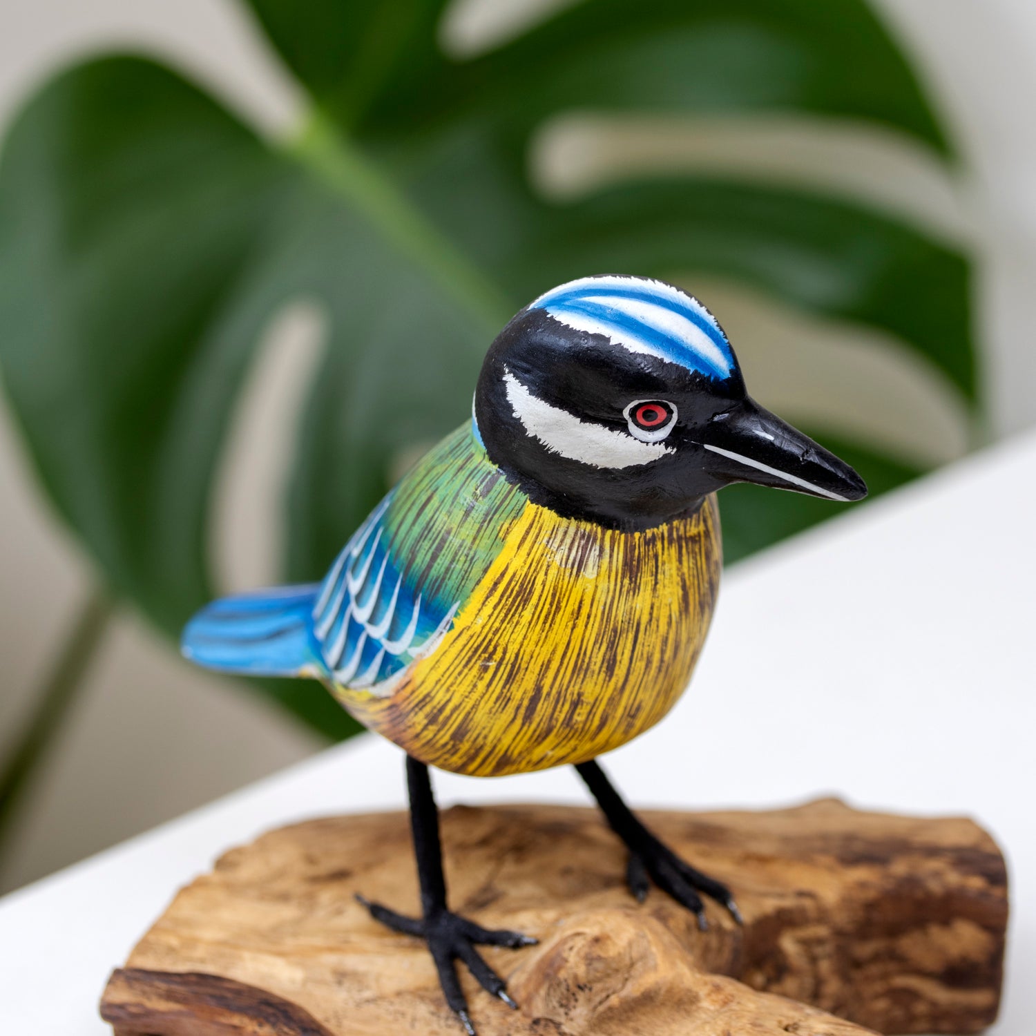 Foraging Blue Tit On Teak Root Stand