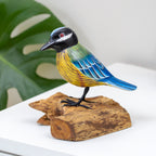 Foraging Blue Tit On Teak Root Stand