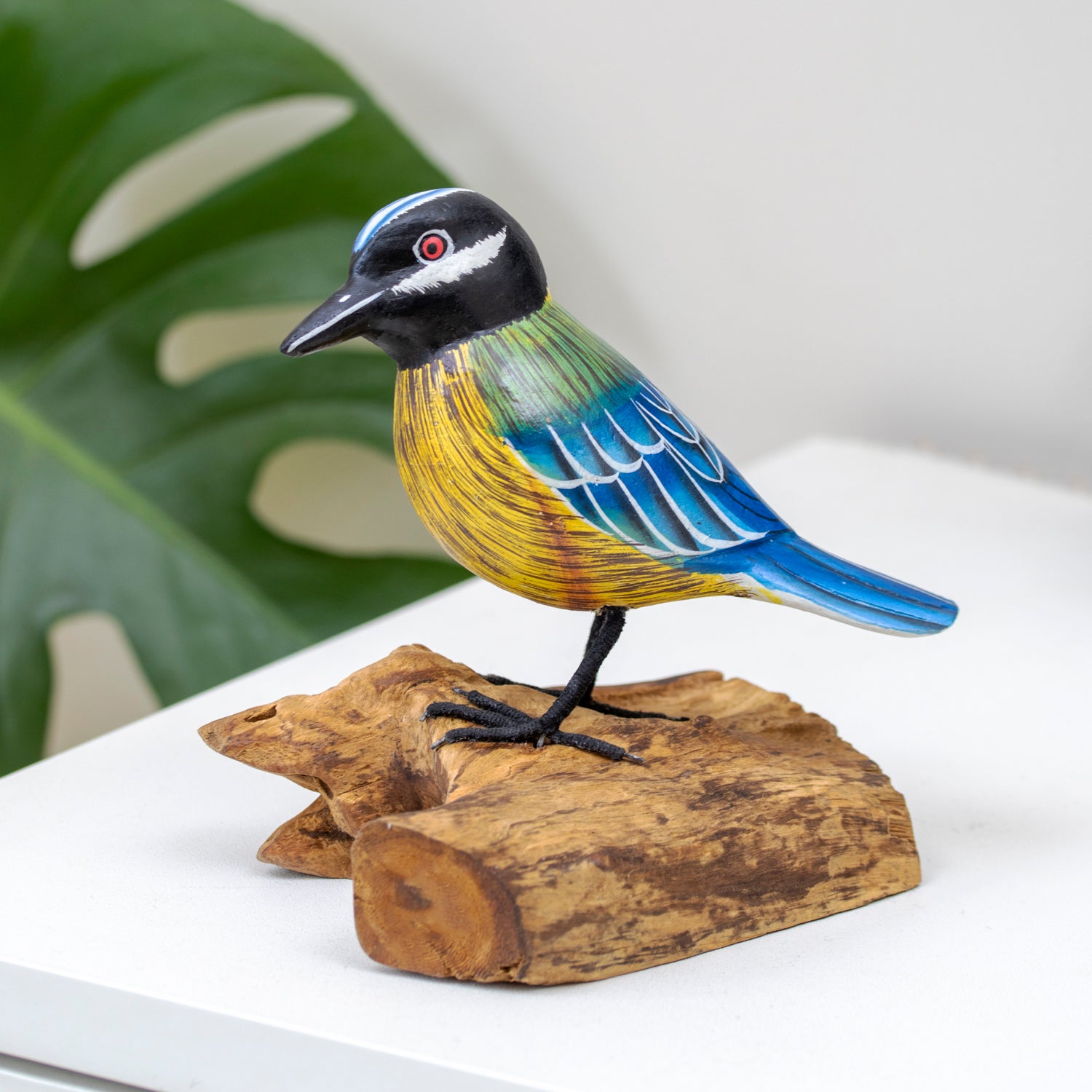 Foraging Blue Tit On Teak Root Stand