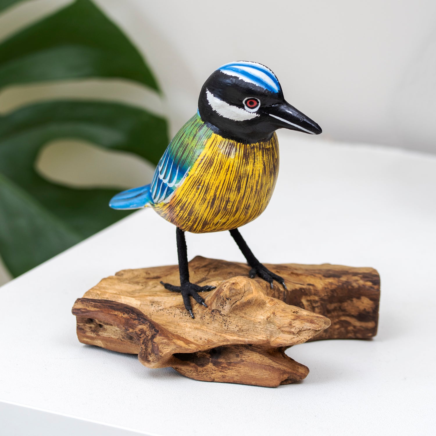Foraging Blue Tit On Teak Root Stand