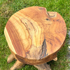 Teak Root Mushroom Stool/Table