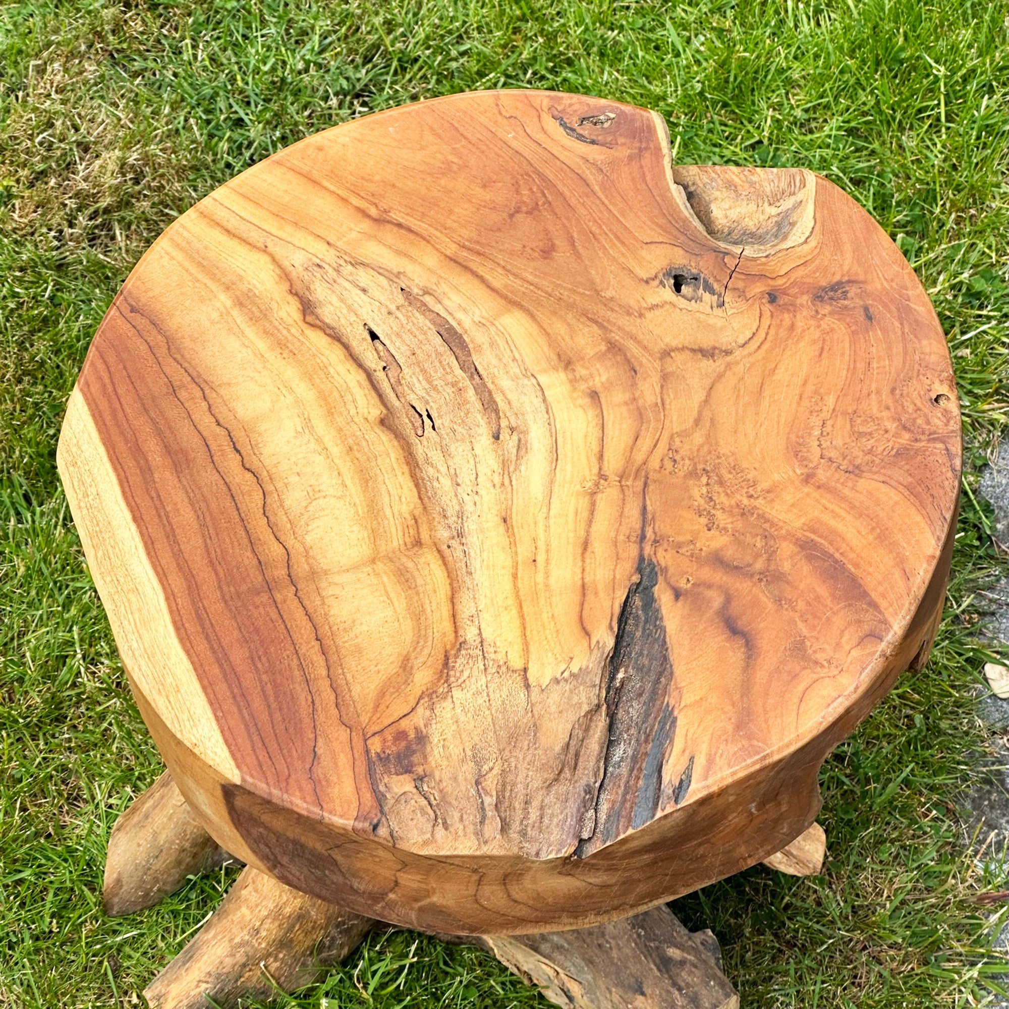 Hocker/Tisch aus Teakwurzelpilz