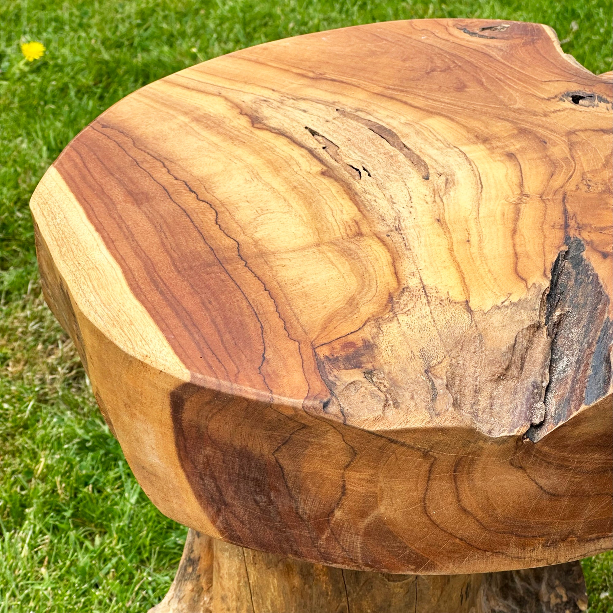 Hocker/Tisch aus Teakwurzelpilz