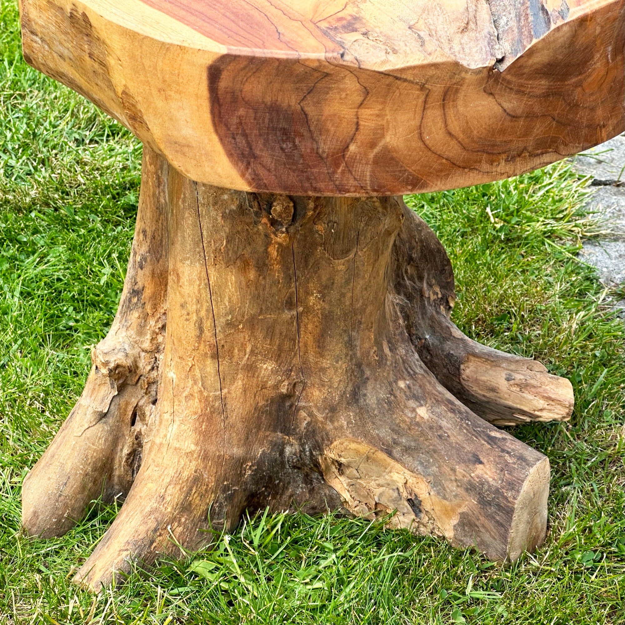 Hocker/Tisch aus Teakwurzelpilz