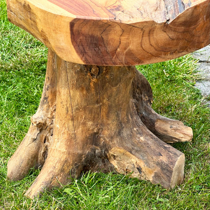 Teak Root Mushroom Stool/Table