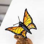Teak Root Monarch Butterfly Sculpture