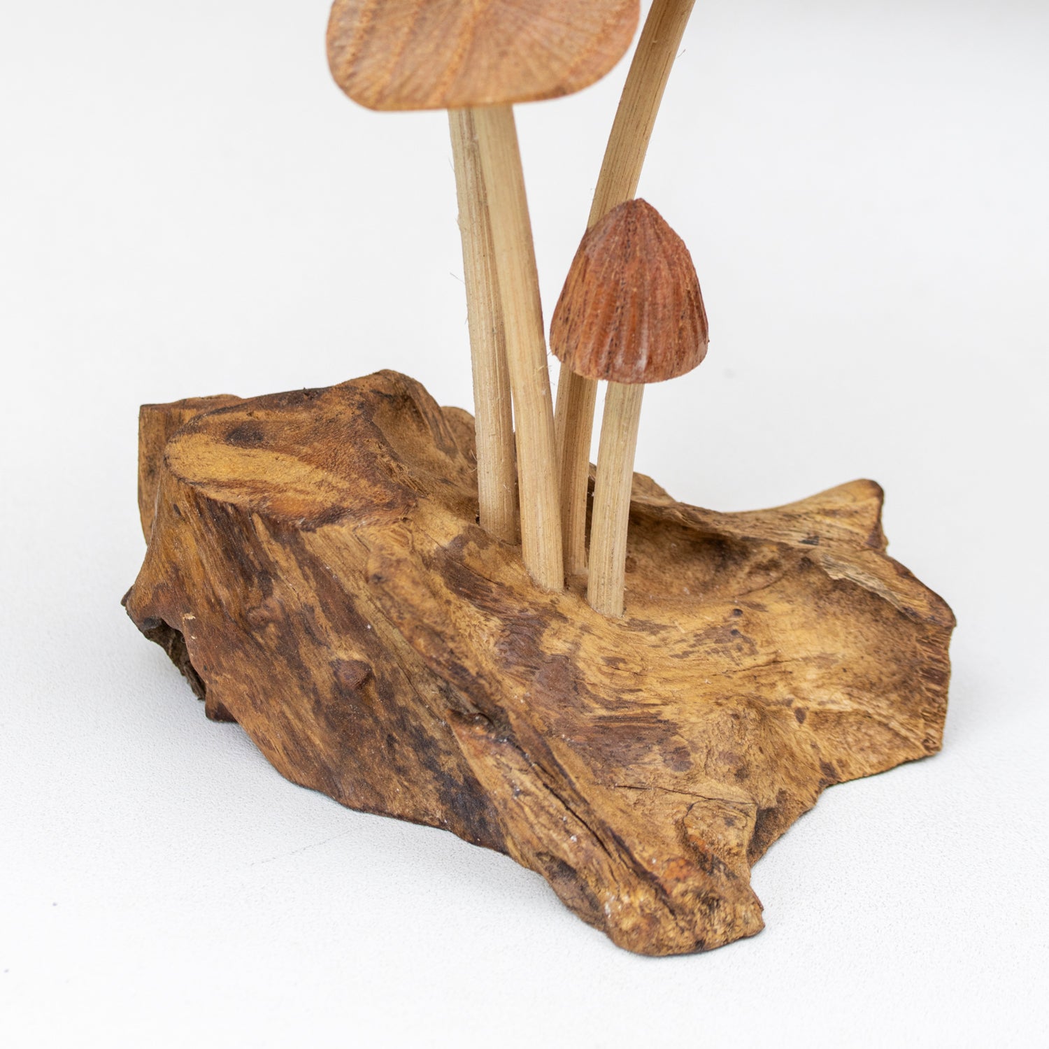 Teak Root Fairy On Mystical Mushrooms Sculpture