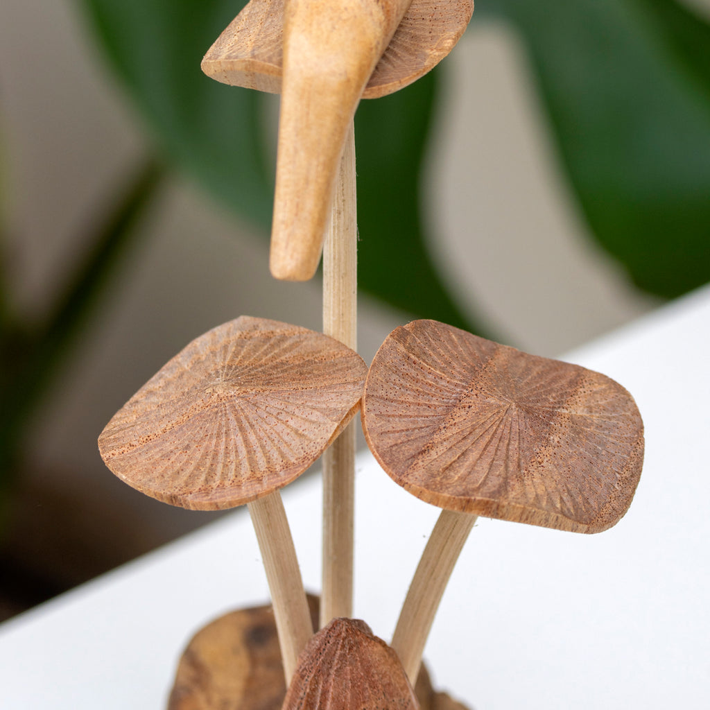Teak Root Fairy On Mystical Mushrooms Sculpture