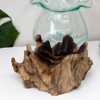 Teak Root With Large Crinkle Molten Glass Bowl