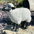 Garden Grazing Sheep Ornament B
