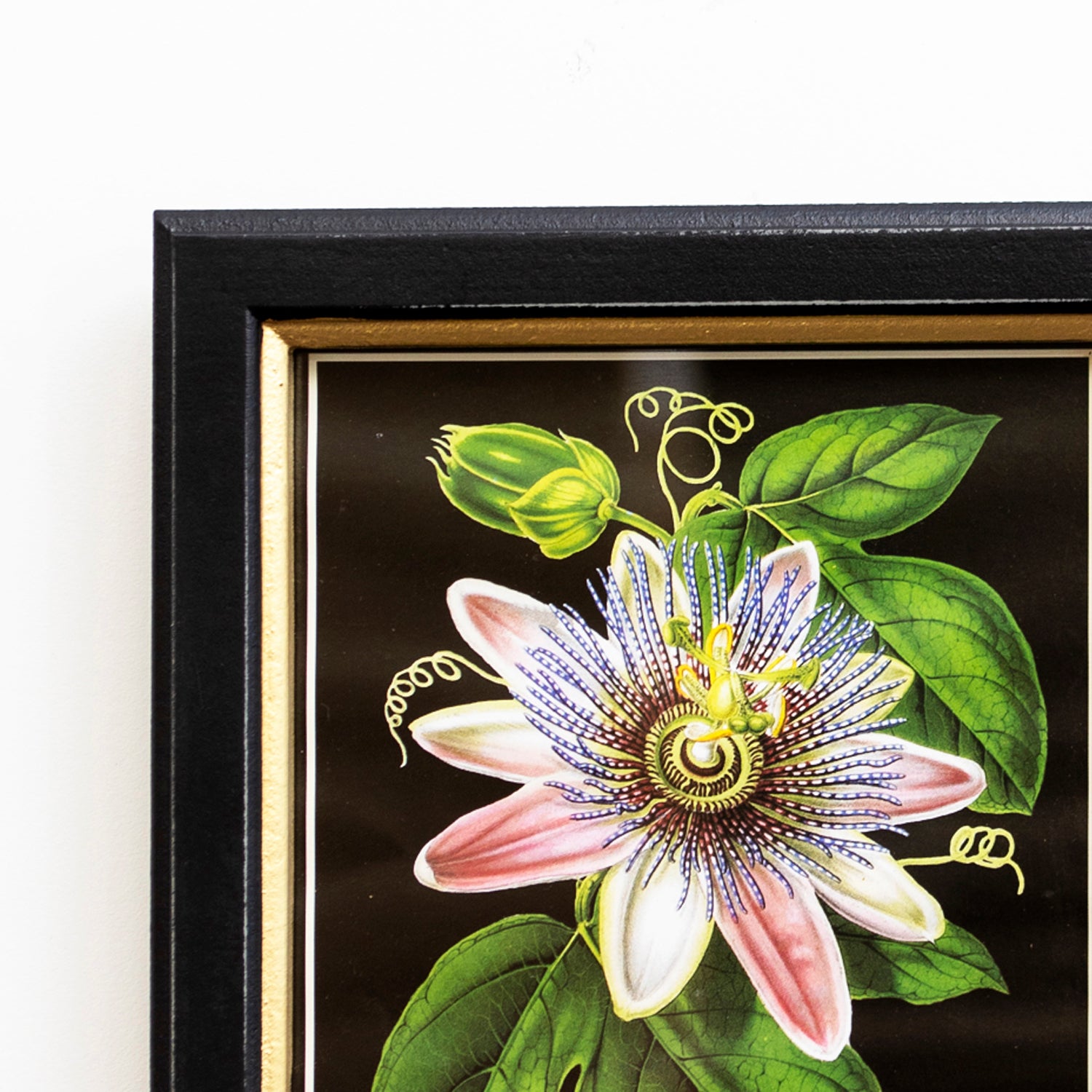 Set Of 3 Botanical Florals Framed Print