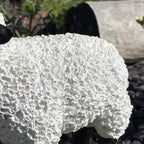 Garden Grazing Sheep Ornament B