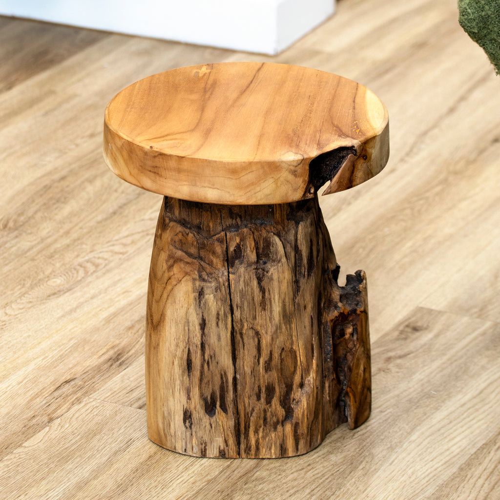 Baby Round Teak Root Table