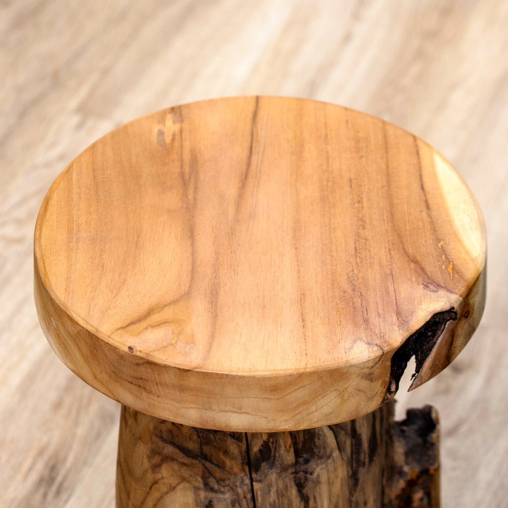 Baby Round Teak Root Table