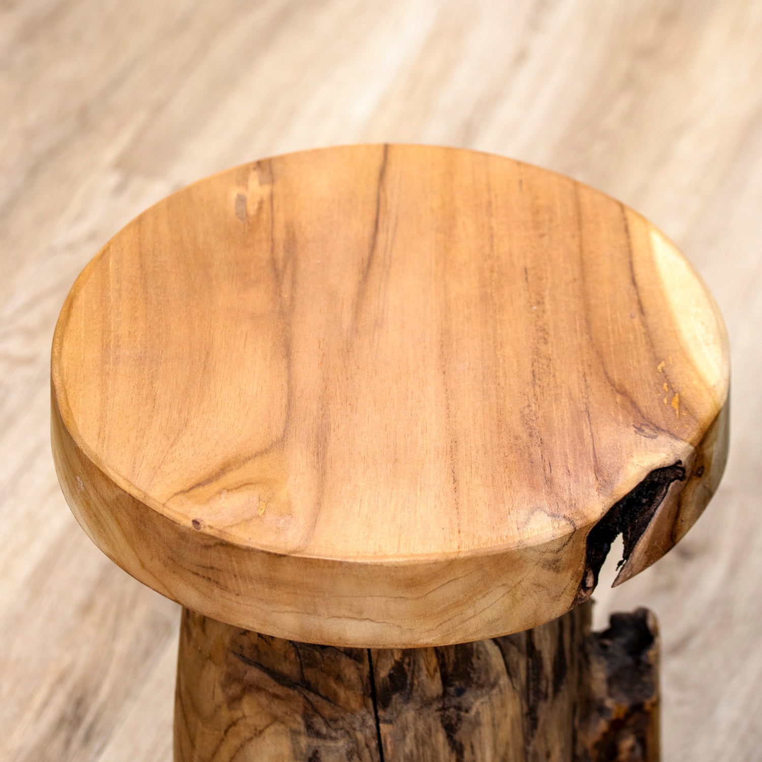 Baby Round Teak Root Table