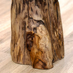 Baby Round Teak Root Table