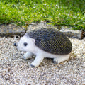 Hedgehog Garden Ornament
