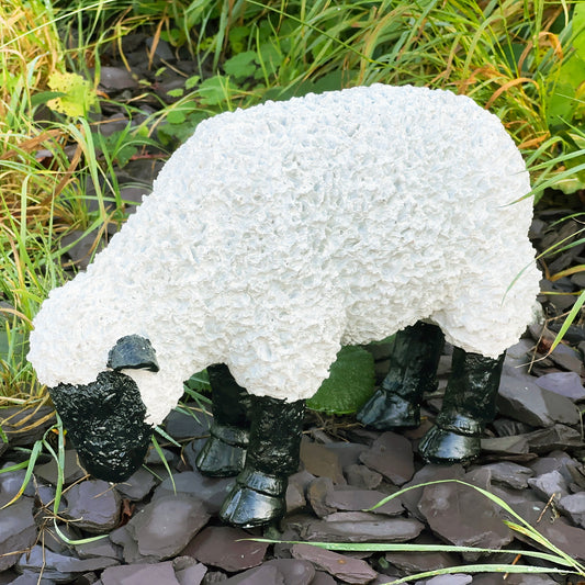 Ornament für grasende Schafe im Garten C