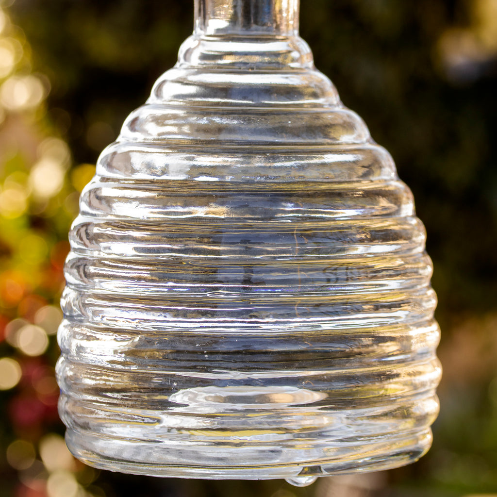 Clear Ribbed Glass Wasp Trap
